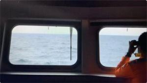 中日无码网址在线,探索网络世界的隐秘角落