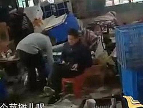 广州日韩回流事件真相视频,揭秘背后真相与影响