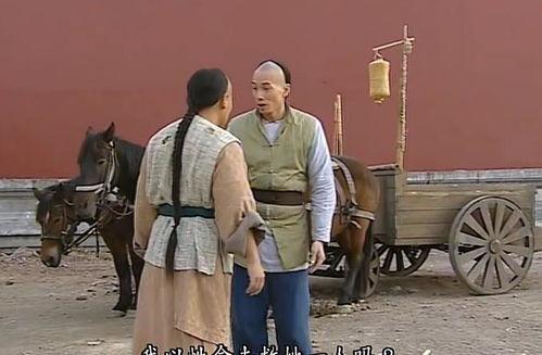 金枝欲孽生孩子视频,宫廷生子秘闻大揭秘