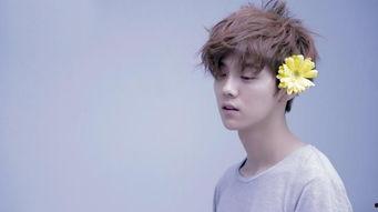 日韩女生看王俊凯视频,王俊凯视频魅力横扫亚洲