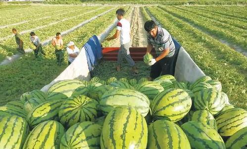 闪现之家网红吃瓜